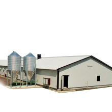 China galvanized steel frame poultry farm structures chicken feed house building